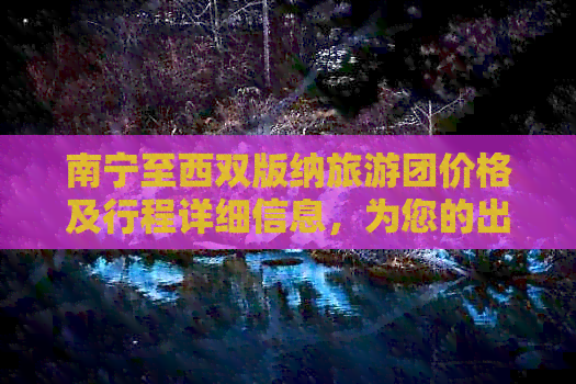 南宁至西双版纳旅游团价格及行程详细信息，为您的出游提供全面规划