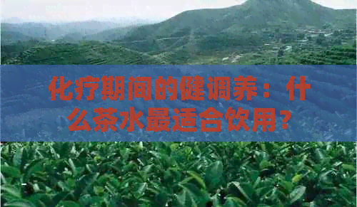 化疗期间的健调养：什么茶水最适合饮用？