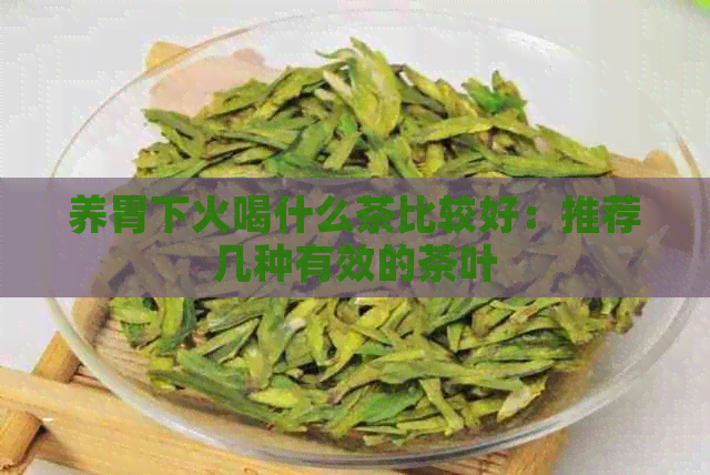 养胃下火喝什么茶比较好：推荐几种有效的茶叶