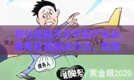 首付逾期不交可能产生的费用及其解决办法，包括滞纳金和其他影响