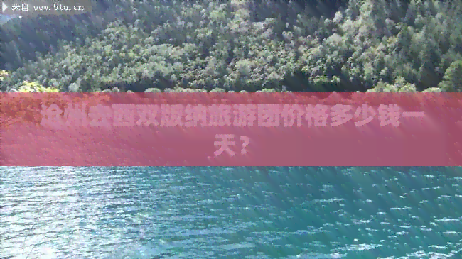 沧州去西双版纳旅游团价格多少钱一天？