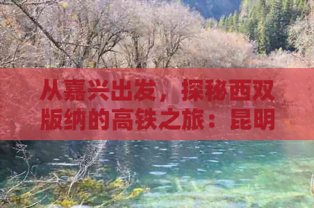 从嘉兴出发，探秘西双版纳的高铁之旅：昆明-兴南列车时刻表与票价查询