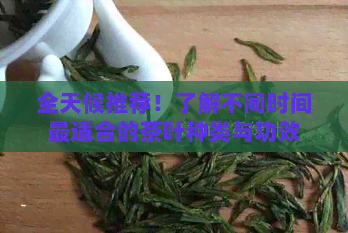 全天候推荐！了解不同时间最适合的茶叶种类与功效