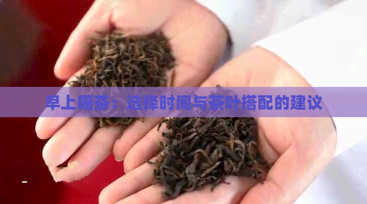 早上喝茶：选择时间与茶叶搭配的建议