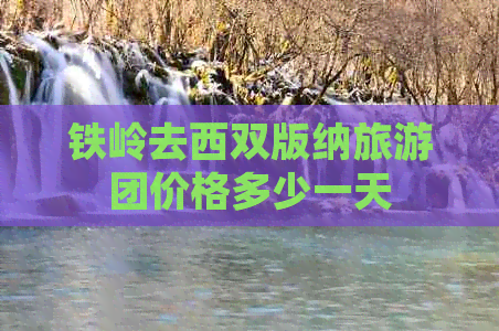 铁岭去西双版纳旅游团价格多少一天