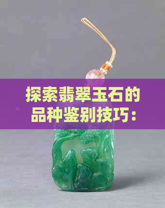 探索翡翠玉石的品种鉴别技巧：专家详解如何分辨各类翡翠