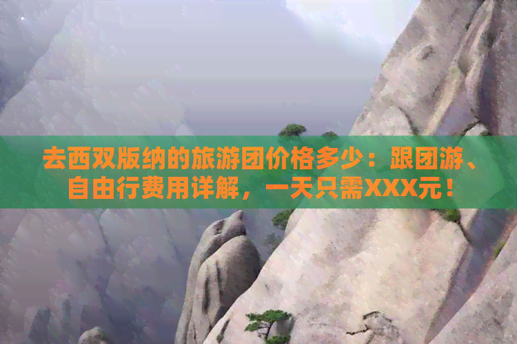 去西双版纳的旅游团价格多少：跟团游、自由行费用详解，一天只需XXX元！