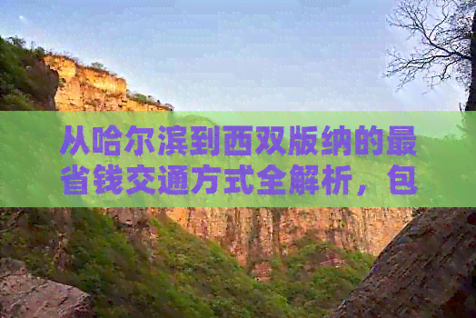 从哈尔滨到西双版纳的最省钱交通方式全解析，包含各种出行选择和旅行建议