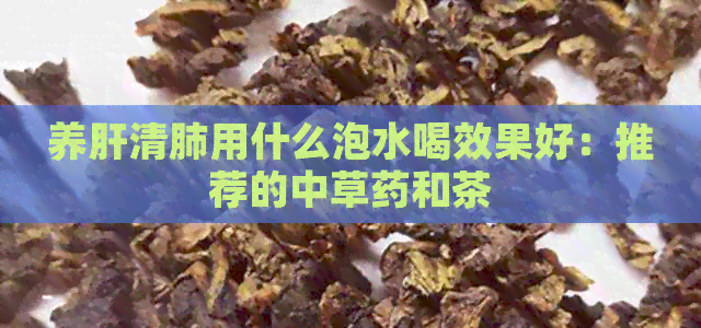 养肝清肺用什么泡水喝效果好：推荐的中草药和茶