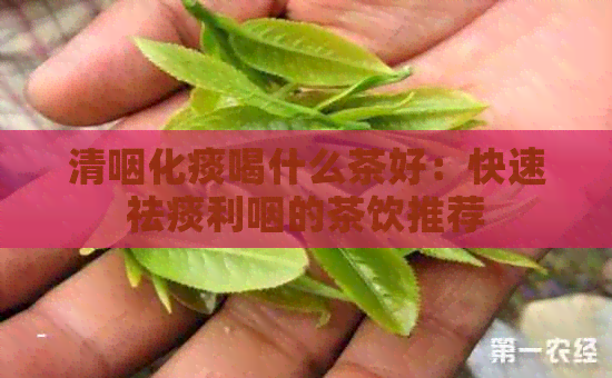 清咽化痰喝什么茶好：快速祛痰利咽的茶饮推荐