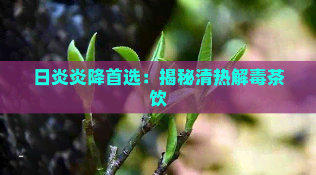 日炎炎降首选：揭秘清热解茶饮