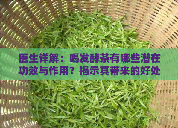 医生详解：喝发酵茶有哪些潜在功效与作用？揭示其带来的好处及特点