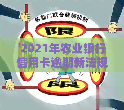 '2021年农业银行信用卡逾期新法规：全面解析逾期处理流程与影响'