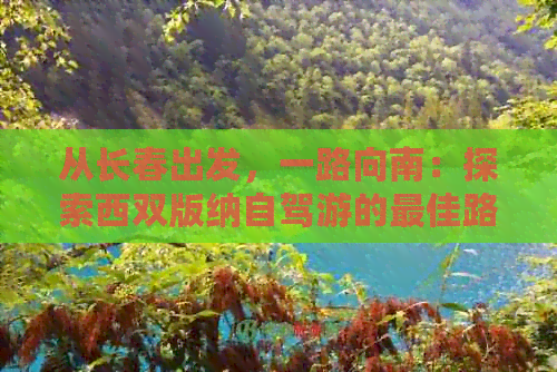 从长春出发，一路向南：探索西双版纳自驾游的更佳路线、景点及必备事项