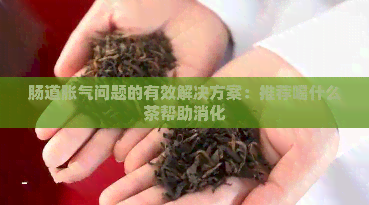 肠道胀气问题的有效解决方案：推荐喝什么茶帮助消化