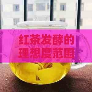 红茶发酵的理想度范围：探究适当的度条件以及影响因素