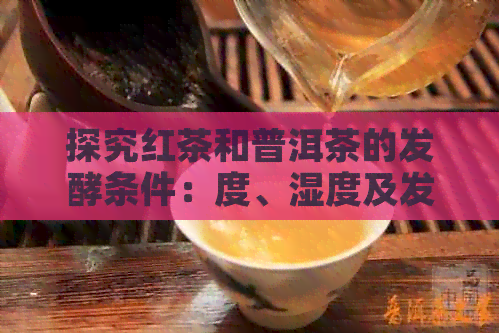 探究红茶和普洱茶的发酵条件：度、湿度及发酵程度的影响