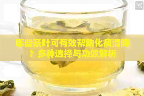 哪些茶叶可有效帮助化痰清肺？多种选择与功效解析