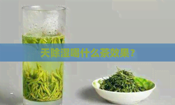 天除湿喝什么茶效果？