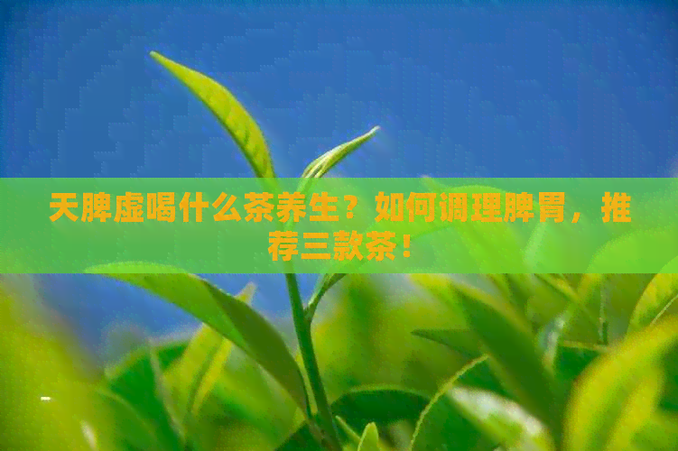 天脾虚喝什么茶养生？如何调理脾胃，推荐三款茶！