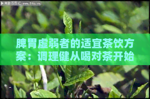 脾胃虚弱者的适宜茶饮方案：调理健从喝对茶开始