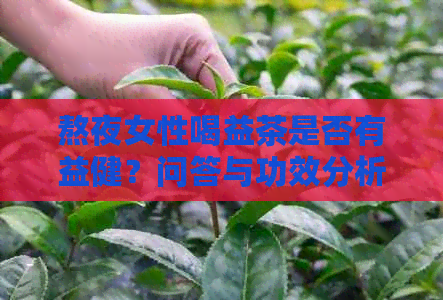 熬夜女性喝益茶是否有益健？问答与功效分析