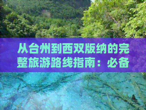 从台州到西双版纳的完整旅游路线指南：必备信息与实用建议