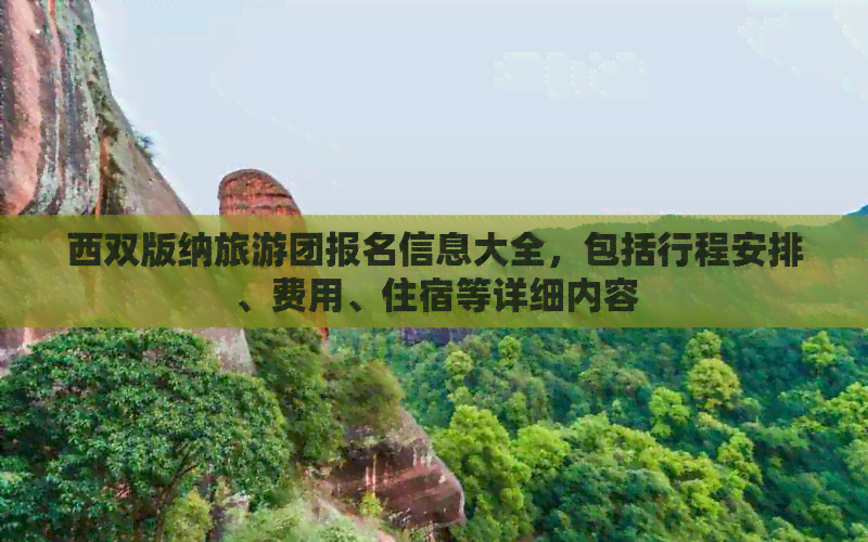 西双版纳旅游团报名信息大全，包括行程安排、费用、住宿等详细内容