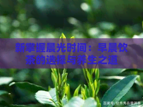 新掌握晨光时间：早晨饮茶的选择与养生之道