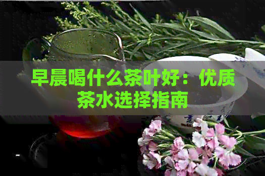 早晨喝什么茶叶好：优质茶水选择指南