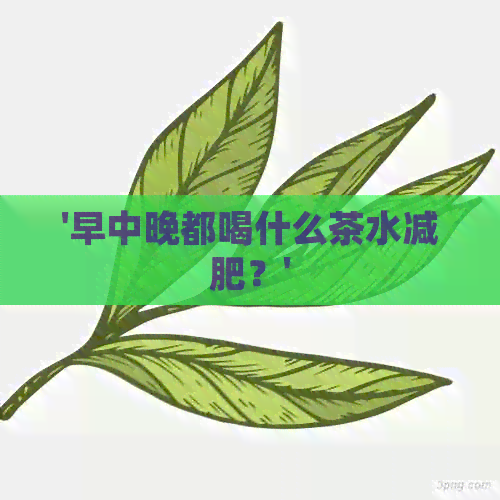 '早中晚都喝什么茶水减肥？'