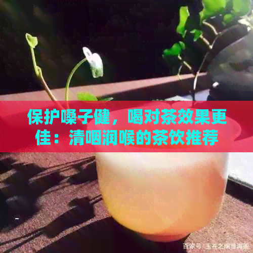 保护嗓子健，喝对茶效果更佳：清咽润喉的茶饮推荐