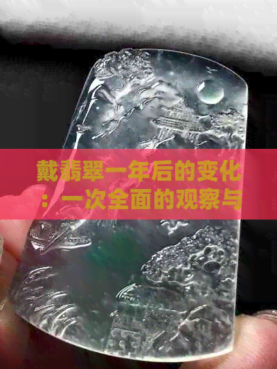 戴翡翠一年后的变化：一次全面的观察与分析