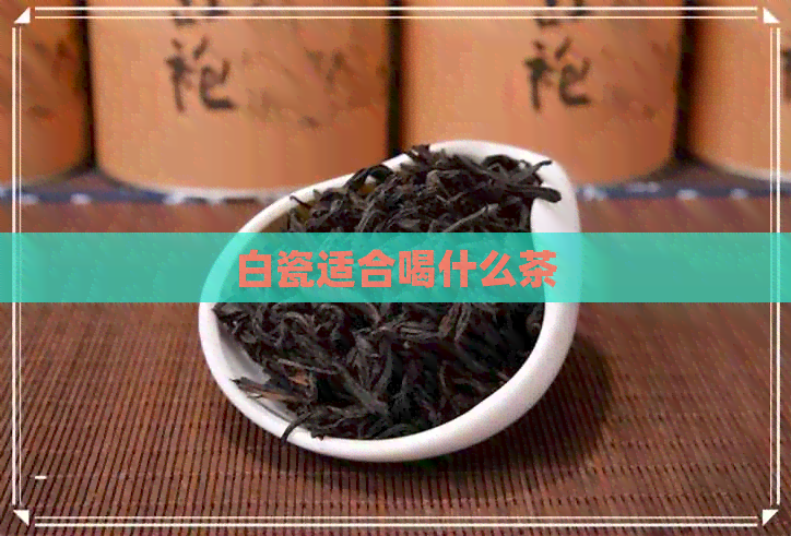 白瓷适合喝什么茶