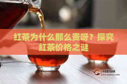 红茶为什么那么贵呀？探究红茶价格之谜