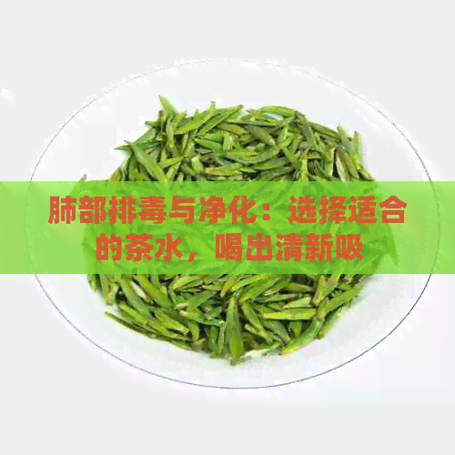 肺部排与净化：选择适合的茶水，喝出清新吸