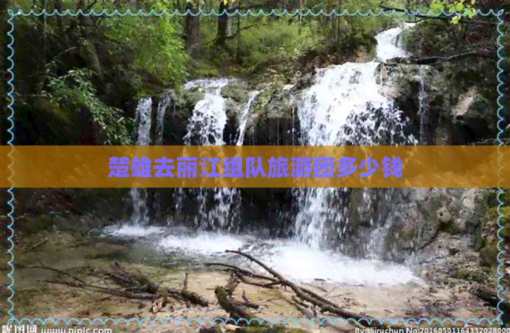 楚雄去丽江组队旅游团多少钱