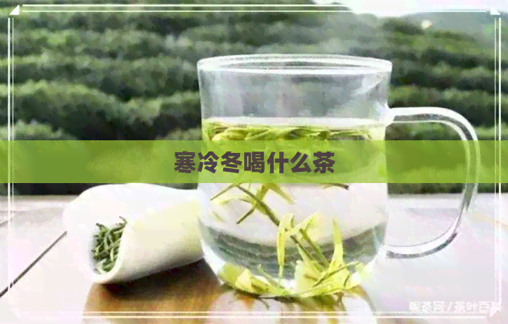 寒冷冬喝什么茶