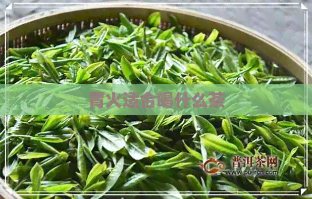 胃火适合喝什么茶