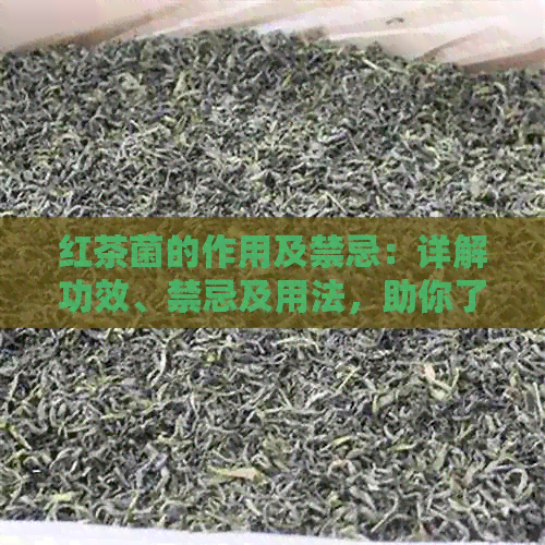 红茶菌的作用及禁忌：详解功效、禁忌及用法，助你了解红茶菌的全貌。