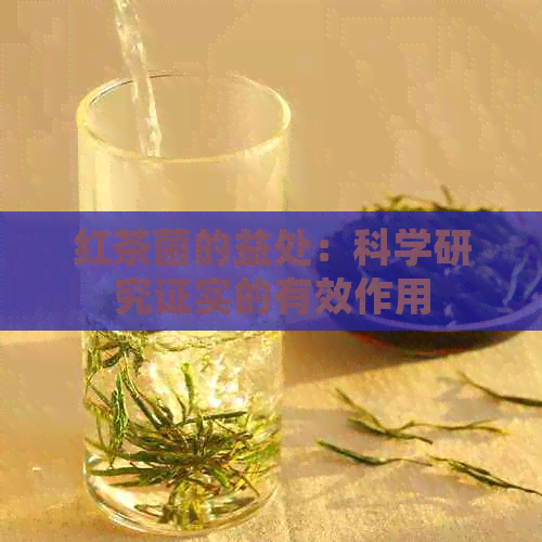 红茶菌的益处：科学研究证实的有效作用