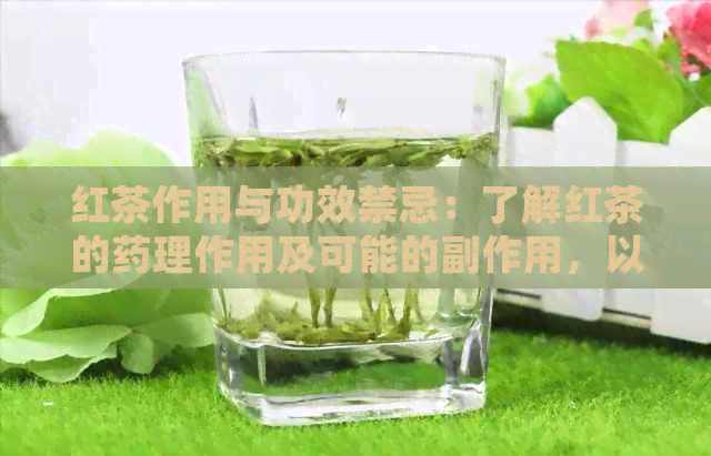 红茶作用与功效禁忌：了解红茶的药理作用及可能的副作用，以确保安全饮用。