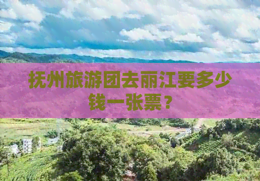 抚州旅游团去丽江要多少钱一张票？