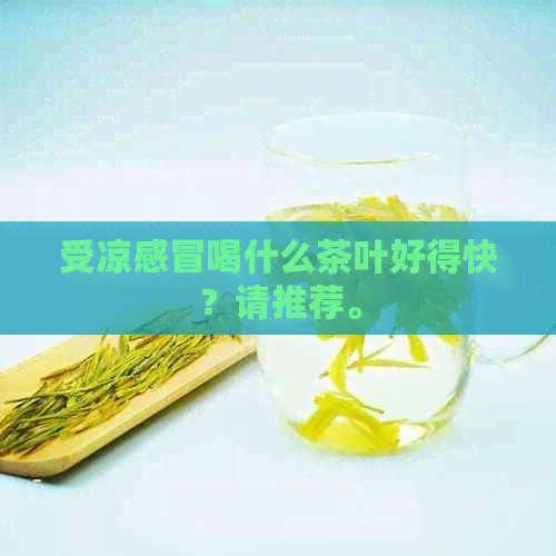 受凉感冒喝什么茶叶好得快？请推荐。