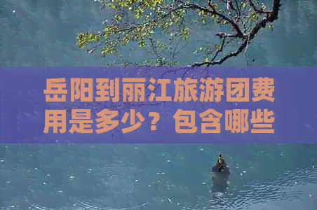 岳阳到丽江旅游团费用是多少？包含哪些服务？一天的行程安排是怎样的？