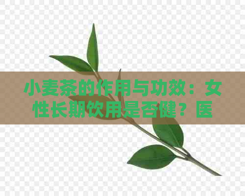 小麦茶的作用与功效：女性长期饮用是否健？医生解读