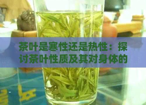 茶叶是寒性还是热性：探讨茶叶性质及其对身体的影响