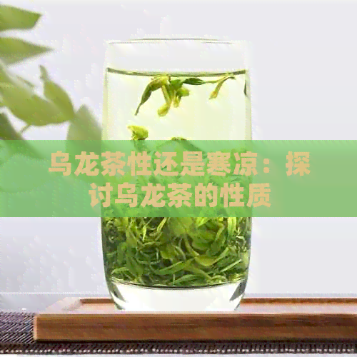 乌龙茶性还是寒凉：探讨乌龙茶的性质