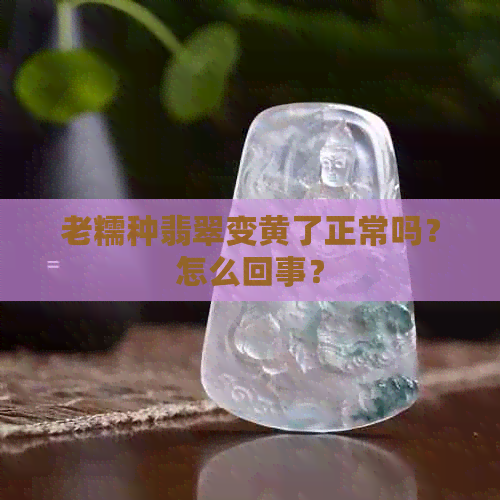 老糯种翡翠变黄了正常吗？怎么回事？