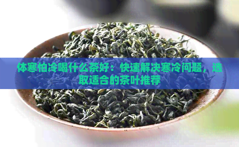 体寒怕冷喝什么茶好：快速解决寒冷问题，选取适合的茶叶推荐